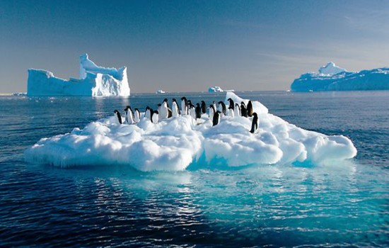 antarctica picture13a